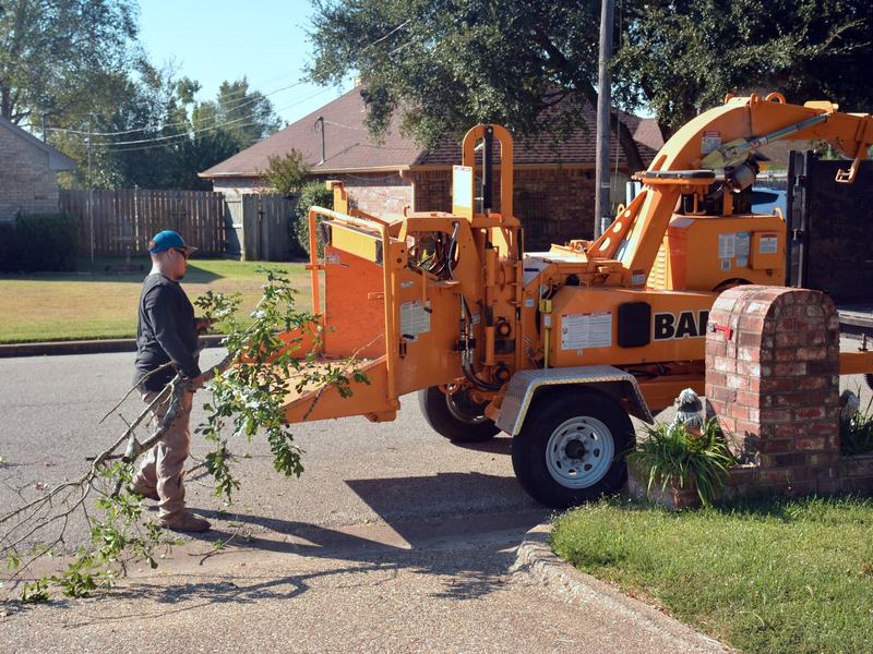 Finished tree removal job for a Cedar Rapids homeowner